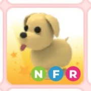 Adopt me neon, ride, fly dog