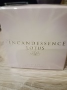 Incandessence Lotus