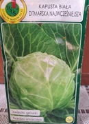 Kapusta biała nasiona