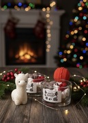 Alpaka wolnostojąca świeca sojowa