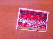 Naklejka Dumni z naszych nr 2 Panini Modena PZPN Biedronka 7,5 x 5cm