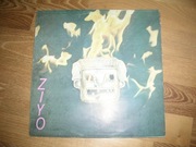 Ziyo -witajcie w teatrze cieni  .  NM