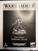 Warhammer 40k Space Marines Sergeant Castus