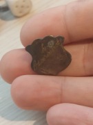 chyba guzik wojskowy