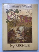 Książka dla dzieci w języku angielskim 1979 rok