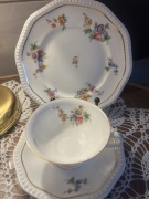 Kolekcjonerska Filiżanka  Rosenthal Perland