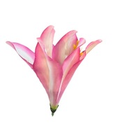 Lilia główka kwiatowa sztuczna wyrobówa kompozycje 12 SZTUK