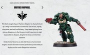 Warhammer 40k Space Marine Heroes Dark Angels (series 6) brother Maphael