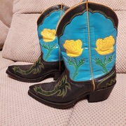 EXTRA Kowbojki -Champions Boots Attitude