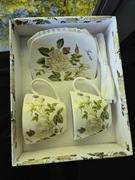 Zestaw dwóch filiżanek