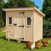 Kurnik każdy wymiar