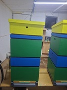 Ul Wielkopolskie 10 ramkowy 