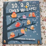 10 9 8 Owls Up Late książka dla dzieci po angielsku 