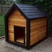 Nowoczesna buda dla psa