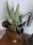 Duża stara węglarka osłona donicy miedż  mosiądz 