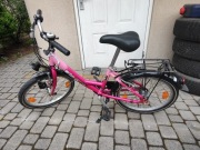 Rower Pegasus Youngster Y2.01