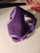 Fioletowe szelki dla psa
