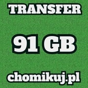 TRANSFER CHOMIKUJ 91 GB BEZTERMINOWO