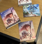 Horizon Forbidden West PS5 edycja specjalna (kolekcjonerska)