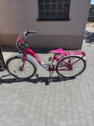 ROWER ROMET Panda Lux 24"