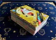 Karty Adrenalyn xl 2024 signing star zestaw 85 kart prezent dla kibica 