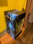 Terrarium z wyposażeniem dla gekona 40x40x80