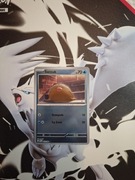 Karta Pokemon TCG Swinub PFL 023 Reverse Holo