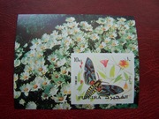 Fujeira MNH Fauna Owady Motyle