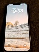 iPhone 13 Pro Max silver 256Gb