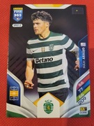 Karta Kolekcjonerska PANINI FIFA 365 2026 Team Mate Maxi Araújo SPO13