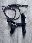 Zestaw smycz i szelki dla psa