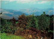 Pocztówka Pieniny 232