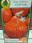 Dynia olbrzymia 'Uchiki Kuri' Hokkaido