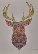 Obrazek nowy za 2 zł