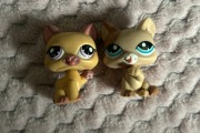Lps Littlest Pet Shop kotki zestaw