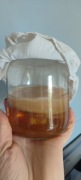 Scoby grzybek kombucha + zakwas żytni 