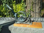 Biofiz pomoc naukowa