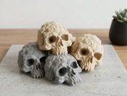 5X „Czaszka” – dekoracja do terrarium lub projektów DIY