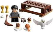 LEGO 30420 Harry Potter Harry Potter i Hedwiga NOWY