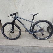 KTM Myroon Elite L 29"
