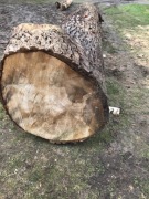 DREWNO TARTACZNE TOPOLA 3Bale 