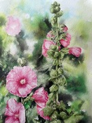 MALWA RÓŻOWA. Akwarela 36x55.5 cm. Edyta Suszek. Galeria autorska.