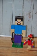 Z0203 Zestaw LEGO Minecraft 21148-1 Steve z papugą