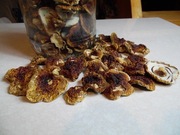 BOROWIK szlachetny grzyby suszone kapelusze 250g