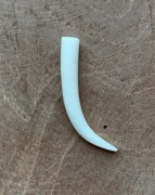 Róg bawoli - tunel, do ucha, 6mm