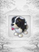 Black Springer Spaniel Adopt Me