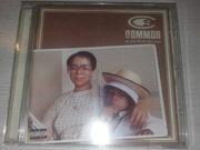 Common - One Day It'll All Make Sense