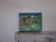 Magnes na lodówkę - 272g. ZURICH Szwajcaria