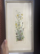 Obrazek grafika i akwarela