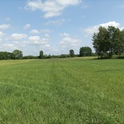 Siano dla królików I gryzoni wysoka 2,5KG + Przysmak gałązki 300gŚWIEŻE